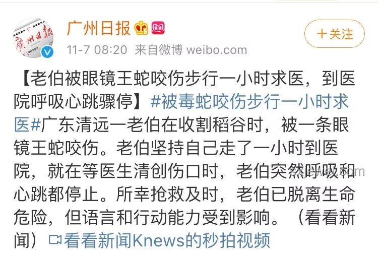 医疗创新反思：三亚蛇咬悲剧中的误诊启示与跨界防范